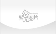 大數據及人工智能技術服務